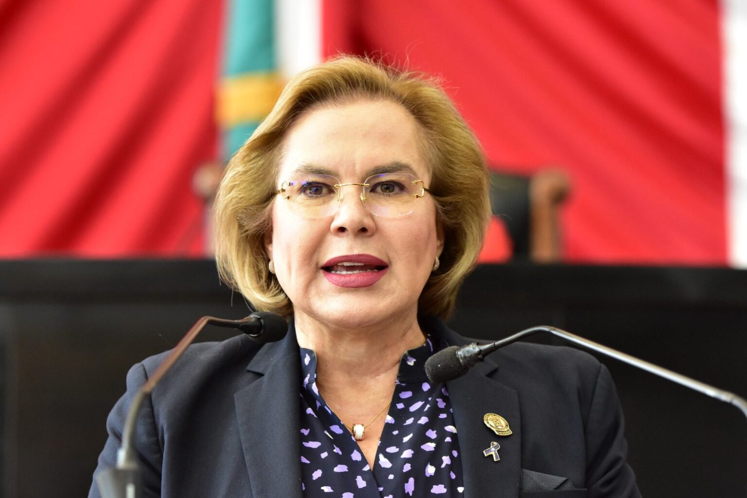 RINDE DIPUTADA ADRIANA TERRAZAS INFORME DE LA DIPUTACIÓN PERMANENTE