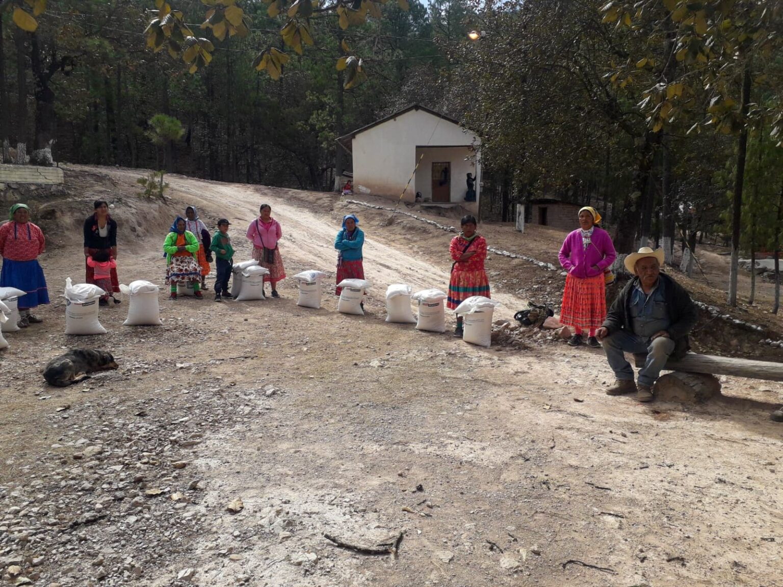 ENTREGAN MÁS DE 14 TONELADAS DE APOYOS ALIMENTARIOS A FAMILIAS DEL PUEBLO RARÁMURI EN URIQUE