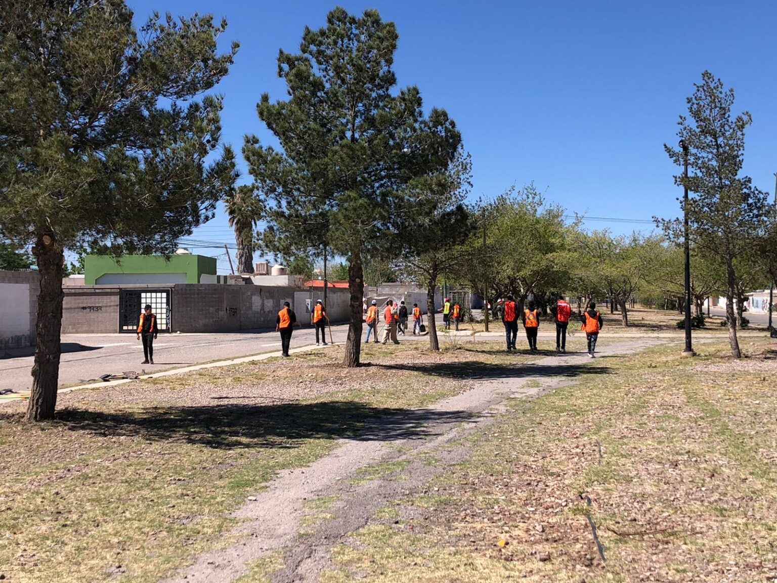 LIMPIAN Y REFORESTAN JÓVENES INFRACTORES CORREDOR DE JARDINES DE ORIENTE