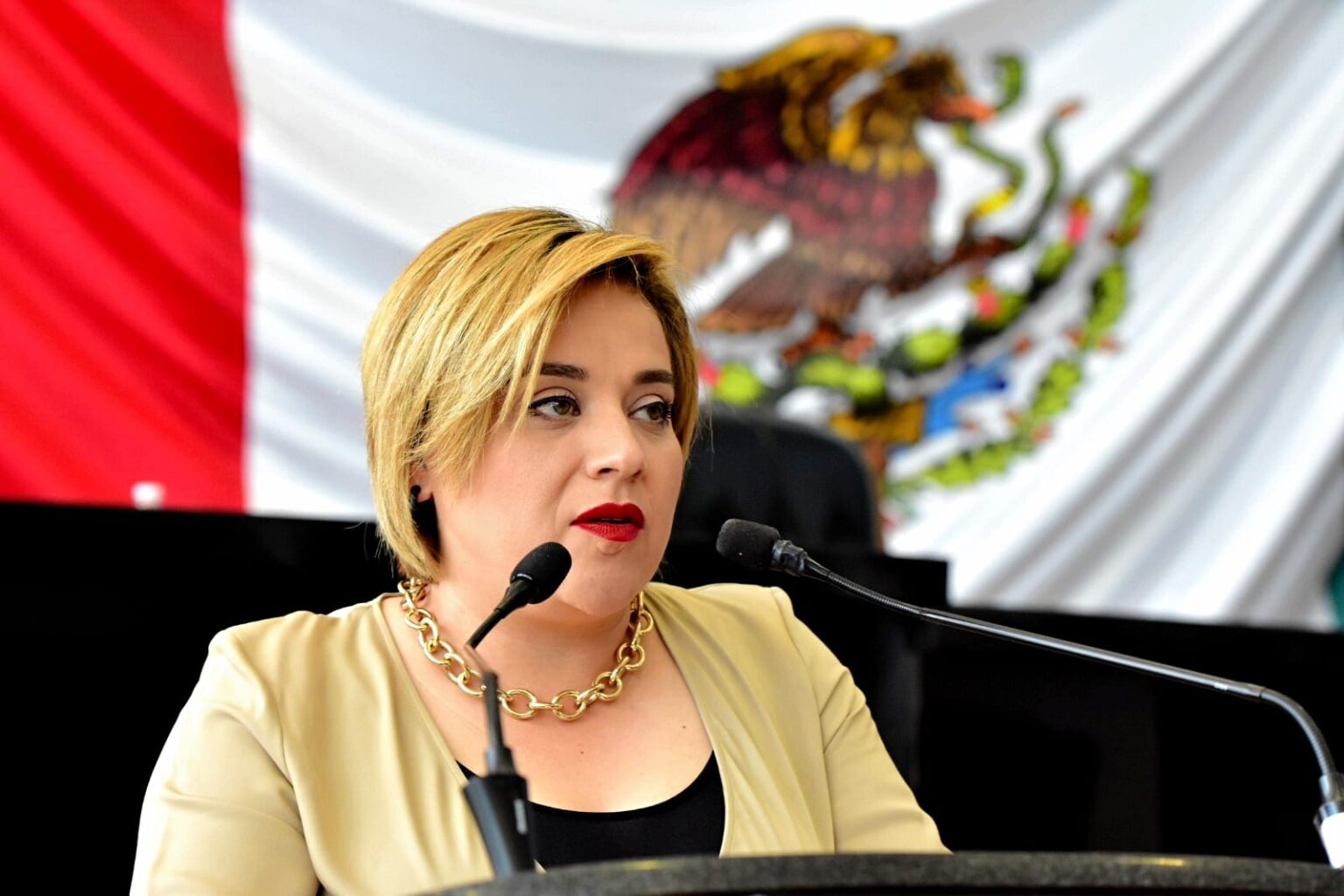 IMPERATIVO ESTABLECER MECANISMOS PARA ATENDER SALUD MENTAL DE NNA: IVÓN SALAZAR