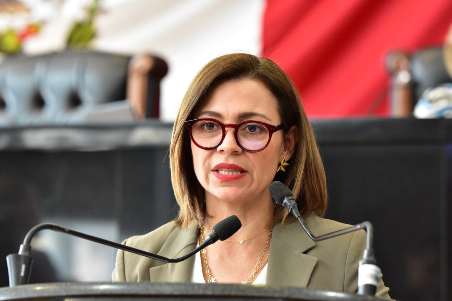 PIDE ISELA MARTÍNEZ VETAR LOS MÁS DE 20 DECRETOS APROBADOS EN FAST TRACK POR EL SENADO