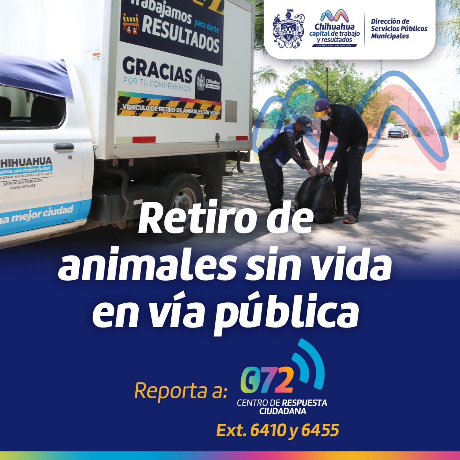 REPORTA AL GOBIERNO MUNICIPAL ANIMALES SIN VIDA EN LA VÍA PÚBLICA