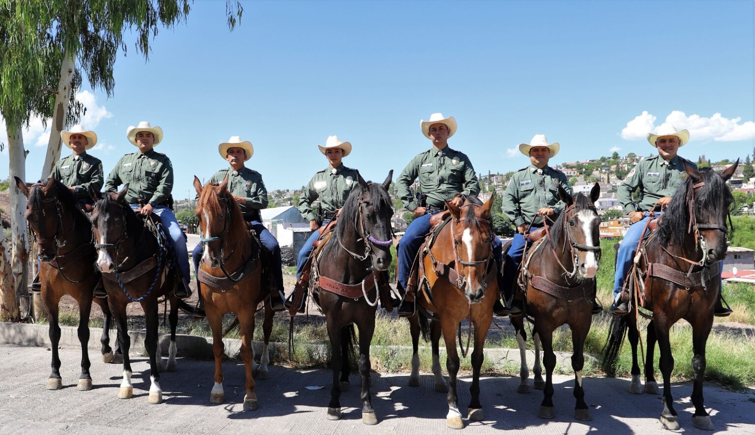 DESDE HACE 26 AÑOS LA POLICÍA MONTADA DEL GOBIERNO MUNICIPAL VIGILA LAS ZONAS RURALES