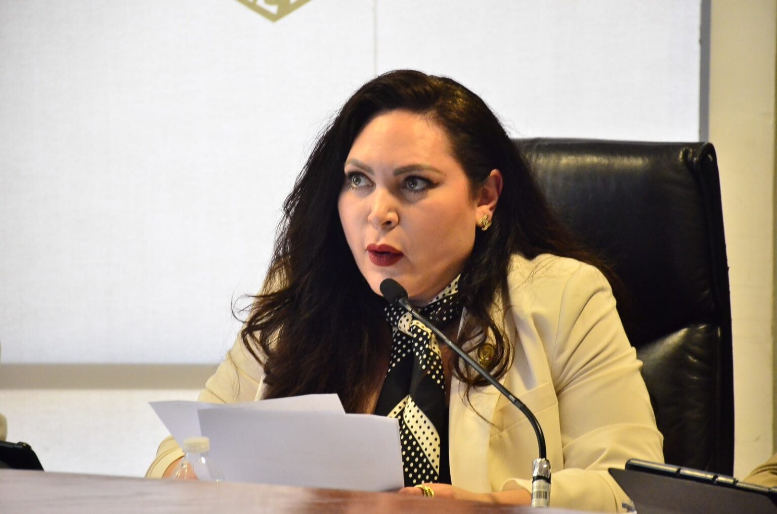 DEBE GARANTIZAR GOBIERNO FEDERAL ABASTO DE MEDICAMENTOS PARA LA ATENCIÓN DEL TRASTORNO BIPOLAR: DIPUTADO GEO ZAPATA