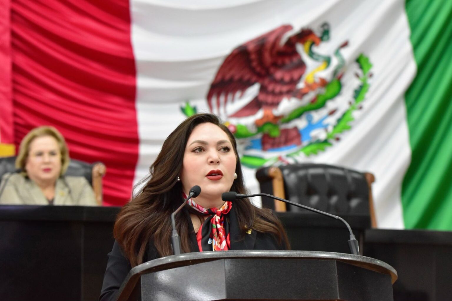 APREMIANTE CASTIGAR EL USO DE ARMA DE FUEGO, JUGUETE O DE APARIENCIA SIMILAR AL COMETER ROBOS: GEO ZAPATA