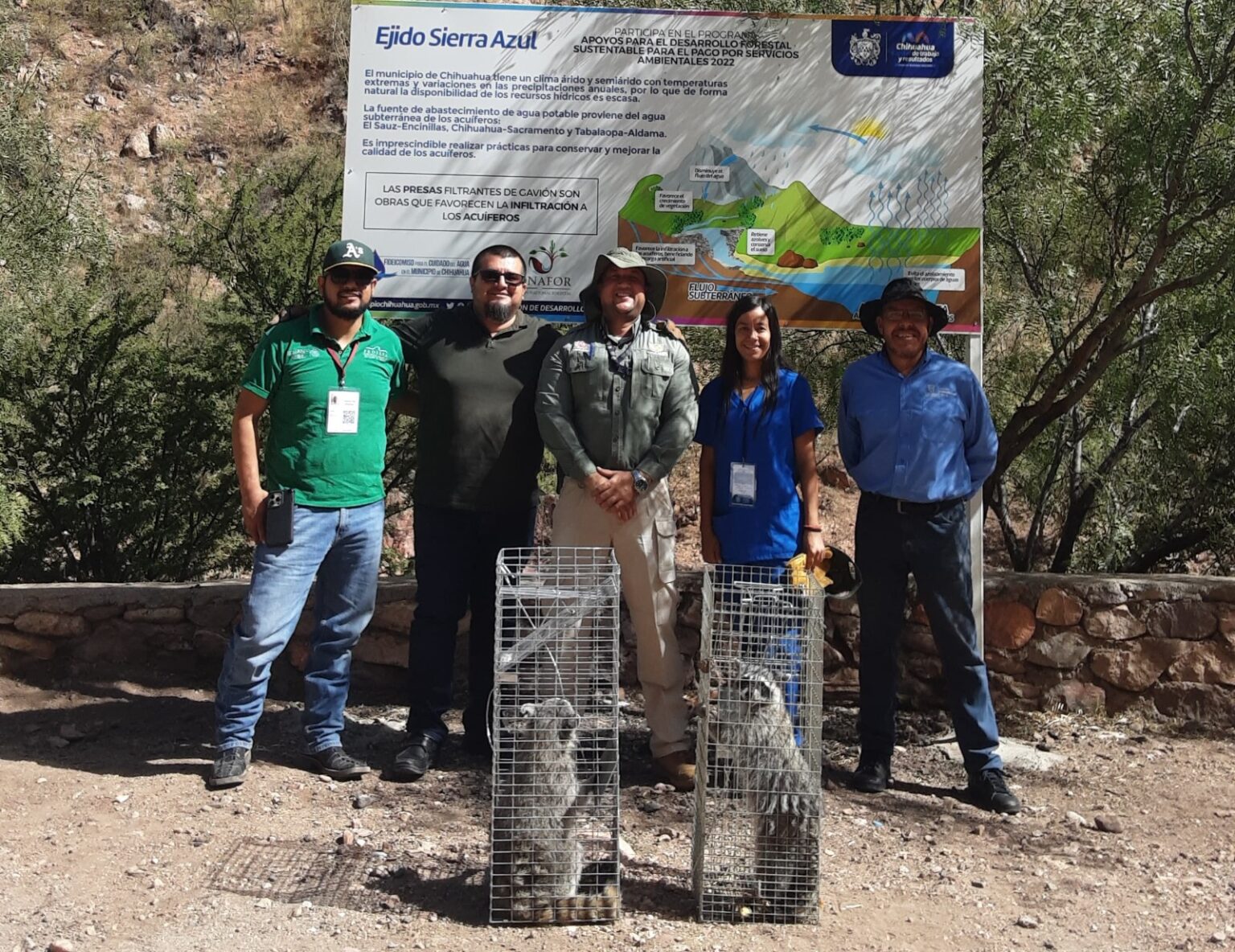 RESCATA MUNICIPIO A FAMILIA DE MAPACHES QUE HABITABA EN ZONAS URBANAS DE LA CAPITAL