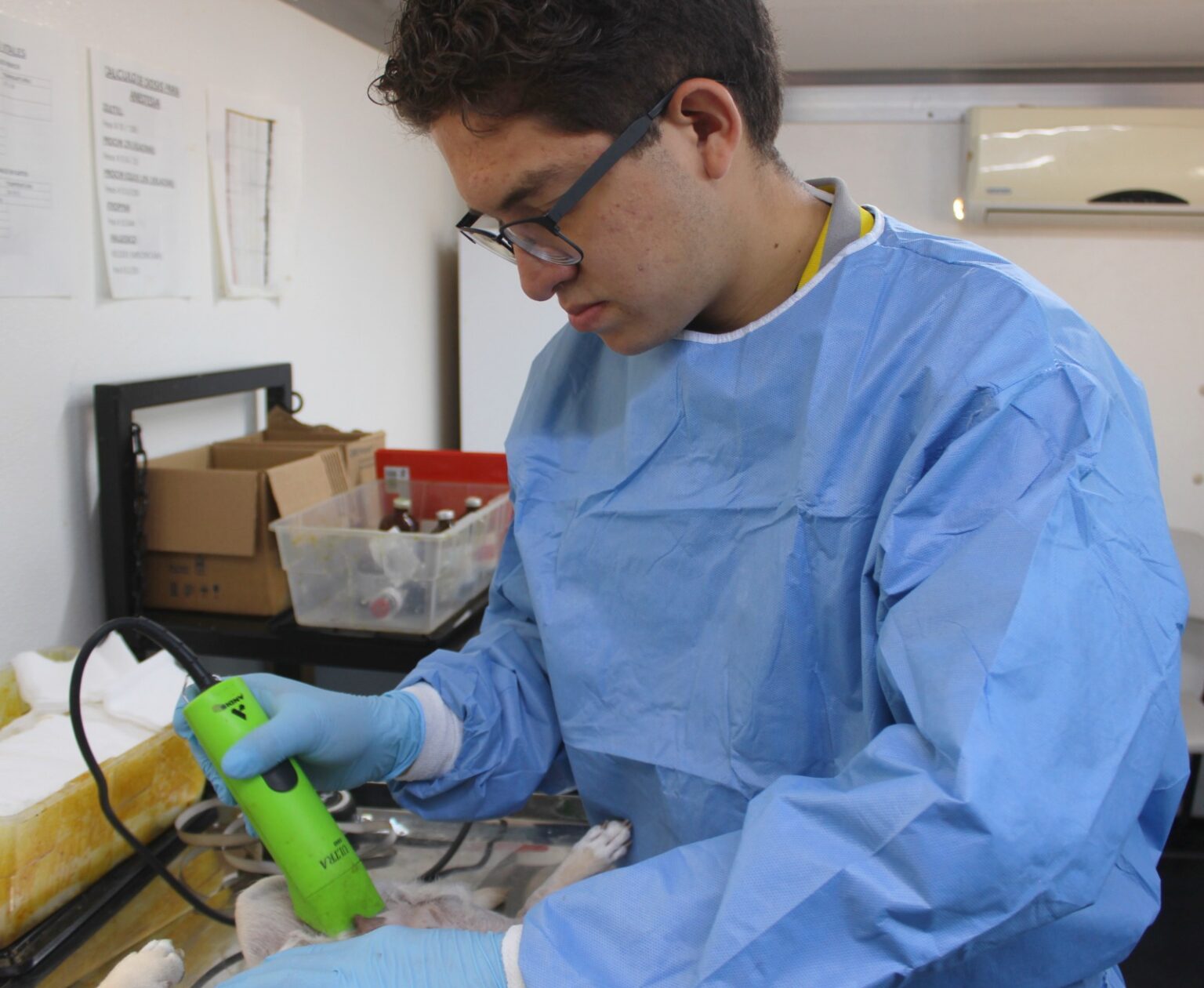 OFRECE IMPAS SERVICIO DE ESTERILIZACIÓN A MASCOTAS EN DIFERENTES PUNTOS DE LA CIUDAD