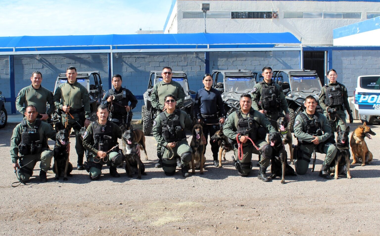 SON PERROS POLICÍAS ALIADOS PARA LA SEGURIDAD CHIHUAHUENSE