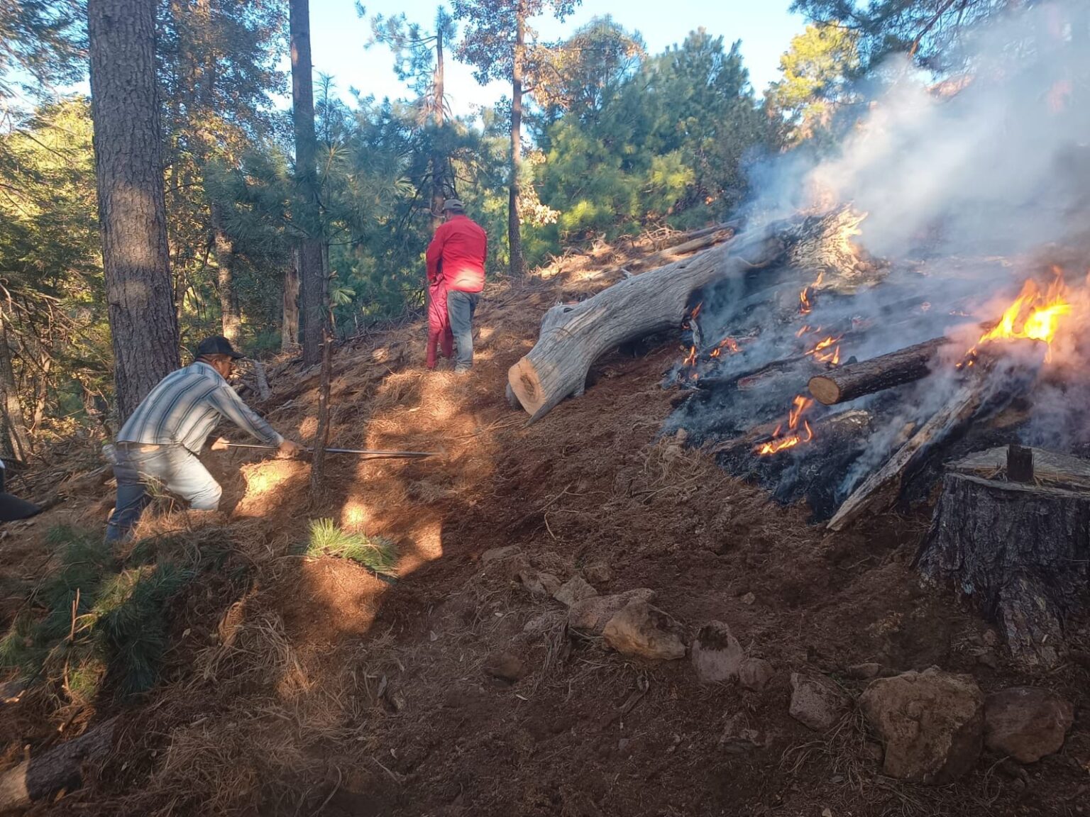 PARTICIPAN 320 BRIGADISTAS EN EL COMBATE DE 15 INCENDIOS FORESTALES ACTIVOS EN EL ESTADO