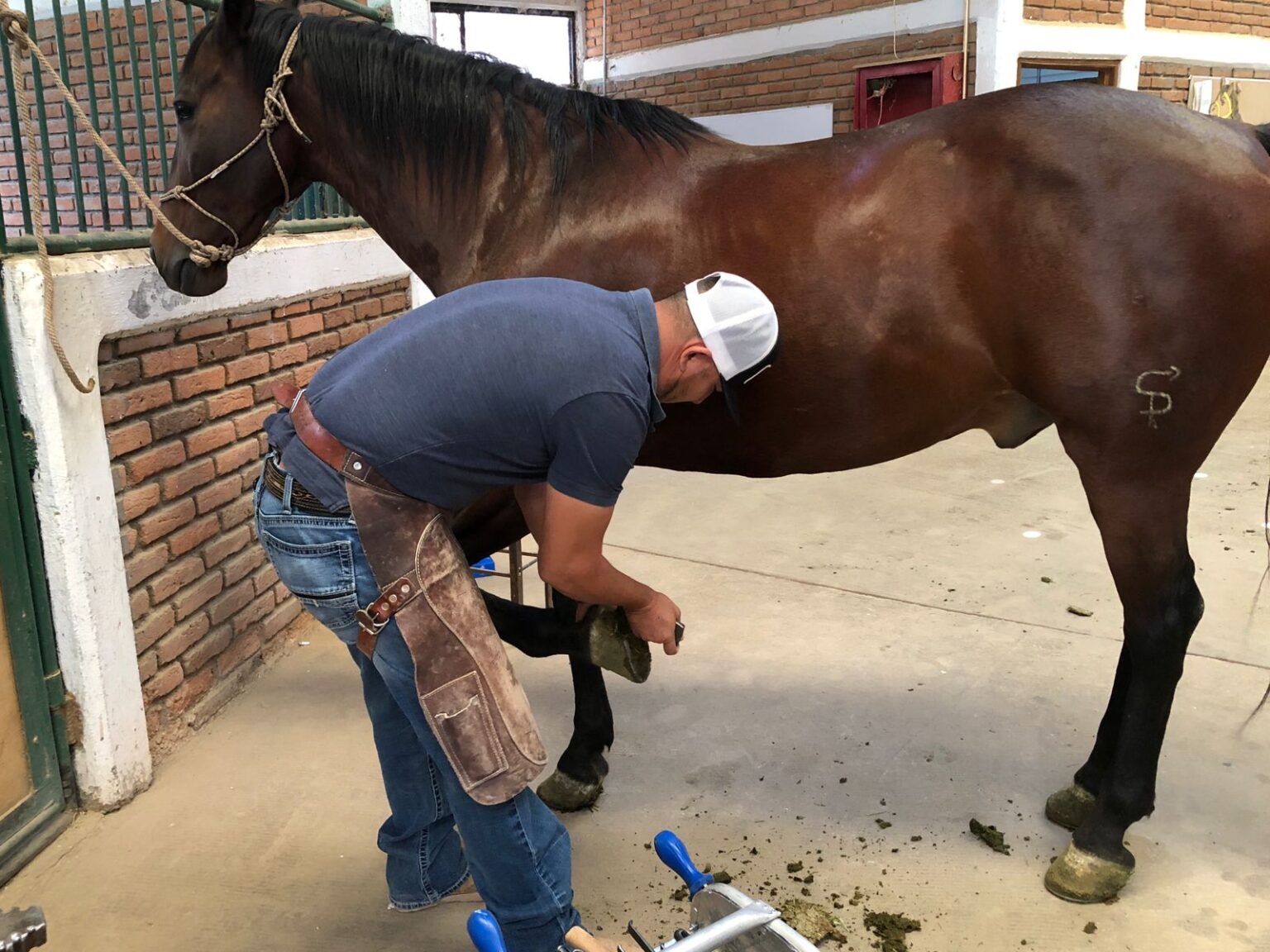 DETRÁS DE LA POLICÍA MONTADA HAY UN GRUPO DE EXPERTOS QUE NO SE CONOCE, PERO QUE REALIZA UNA LABOR ELEMENTAL