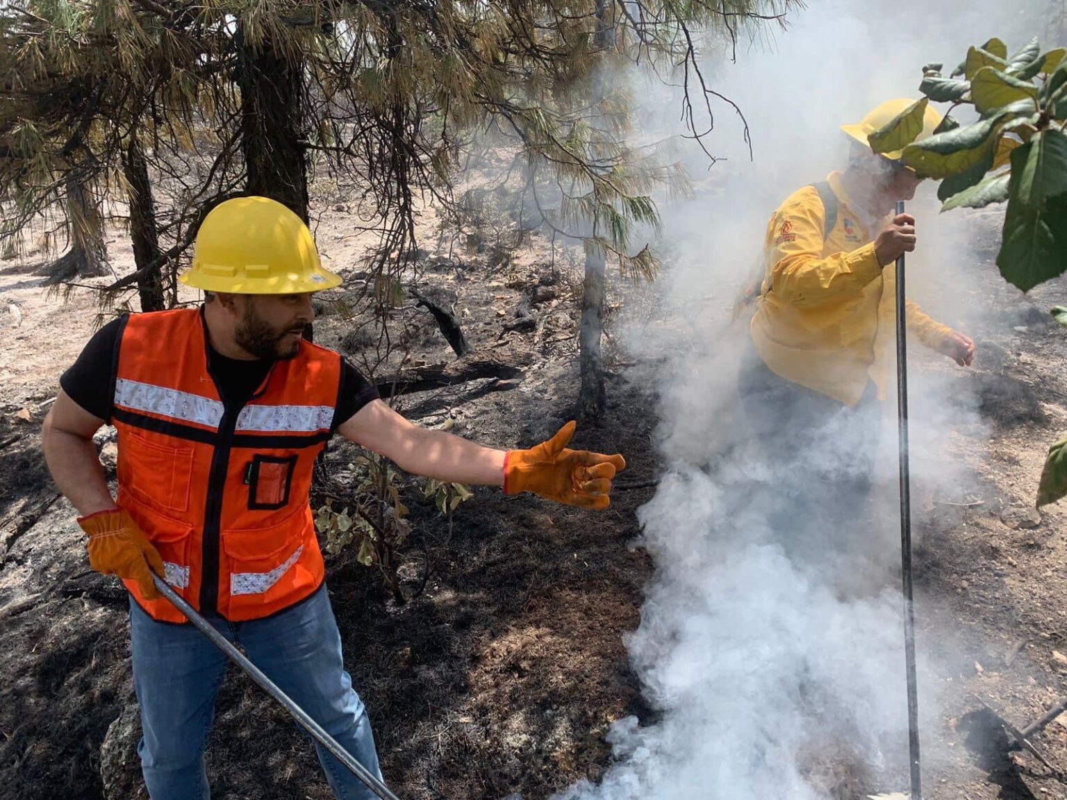 IMPARTIRÁN CURSO PARA PREVENIR, DETECTAR Y COMBATIR INCENDIOS EN LA SIERRA TARAHUMARA