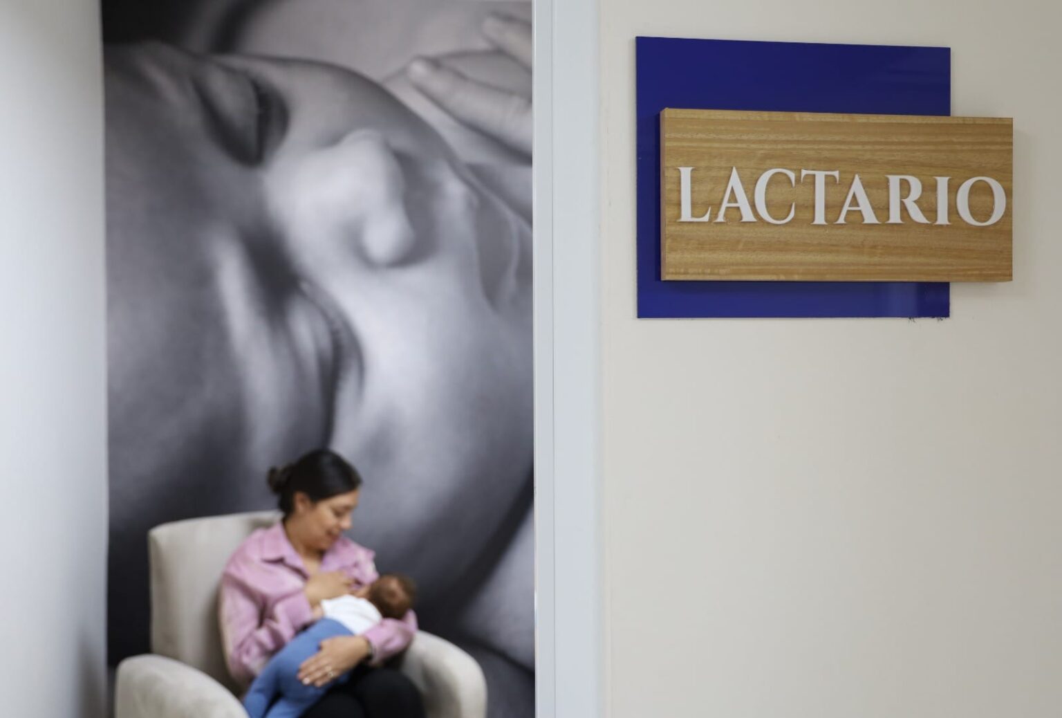 CONOCE LOS LACTARIOS CON LOS QUE CUENTA EL MUNICIPIO