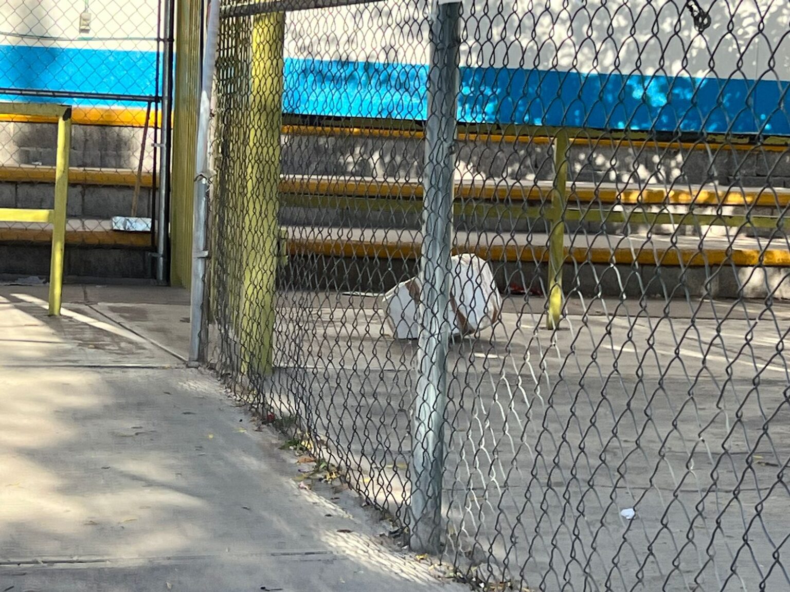 ENCUENTRAN SEIS HIELERAS CON CABEZAS DE MANIQUÍES EN CASILLAS