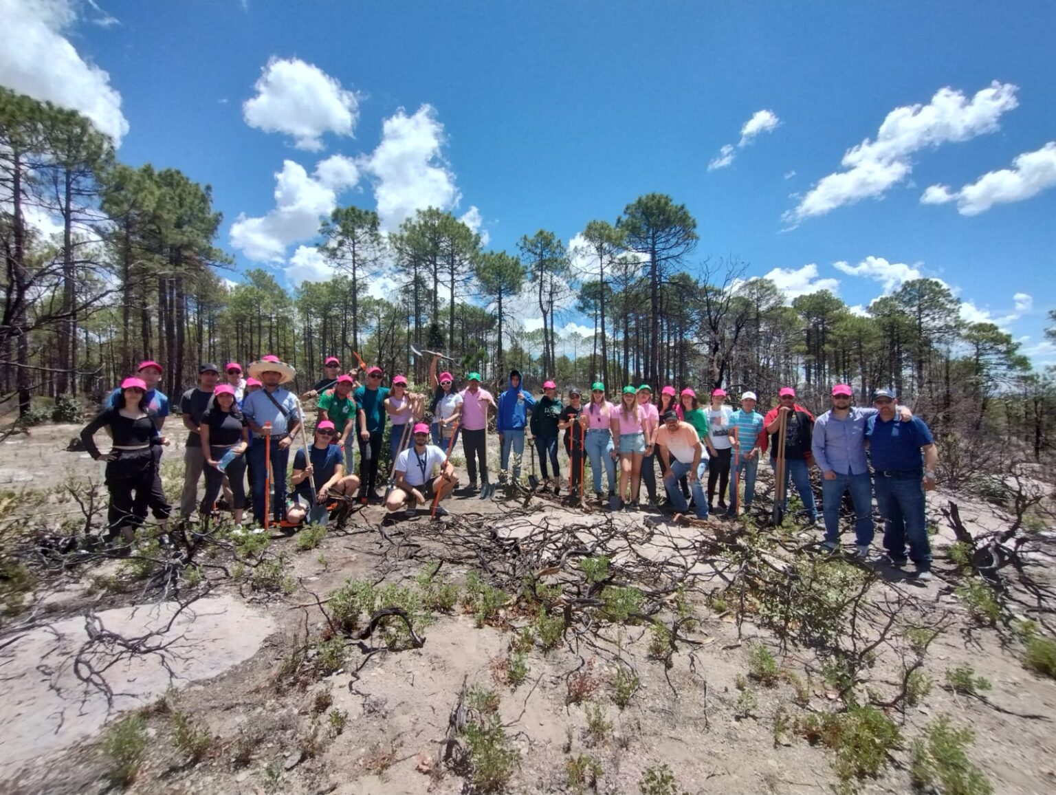 SIEMBRA LA FUNDACIÓN ABRIL FÉLIX 200 PINOS EN LA SIERRA DE CHIHUAHUA.