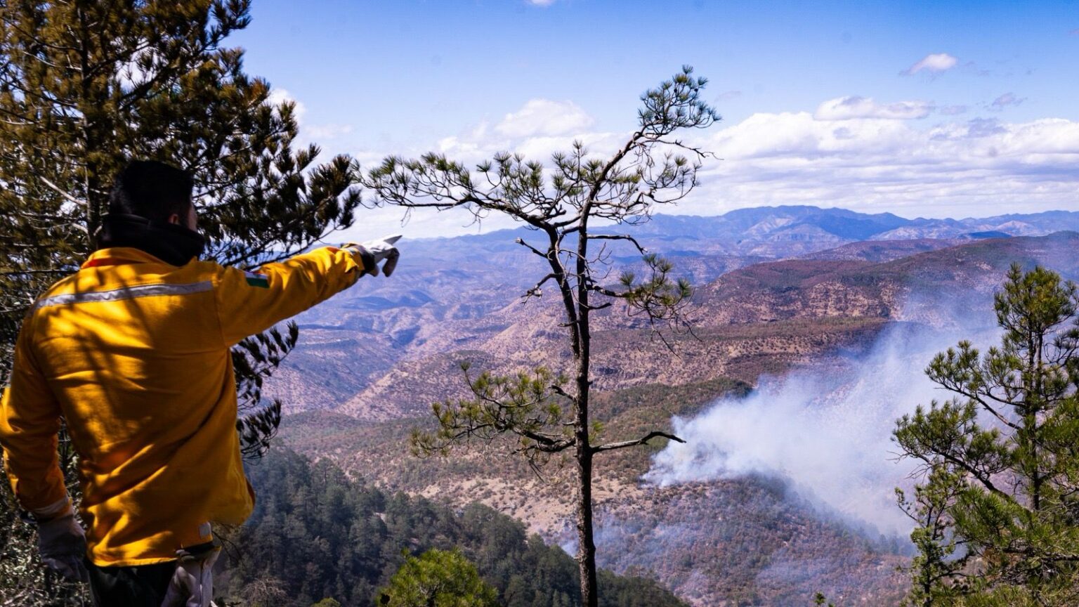 Participan 124 brigadistas en combate a incendios forestales en el municipio de Madera