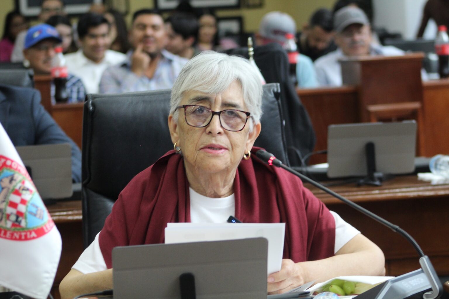 Busca diputada Herminia Gómez amparo de leyes a personas con Trastorno del Espectro Autista