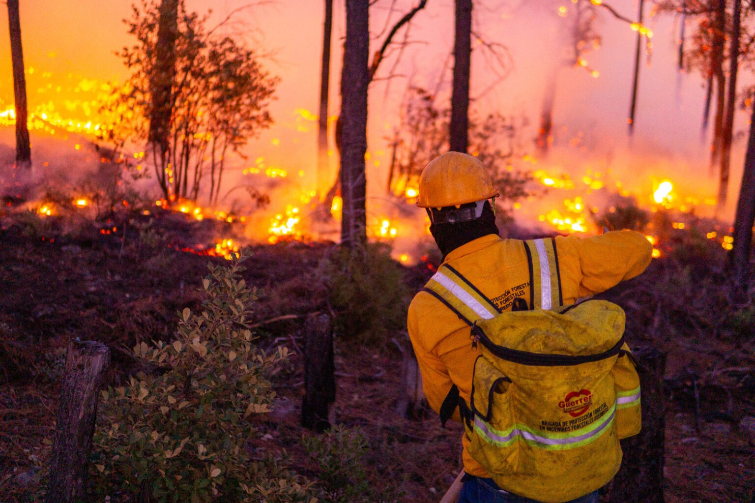 Combaten 138 brigadistas siete incendios forestales activos en cinco municipios