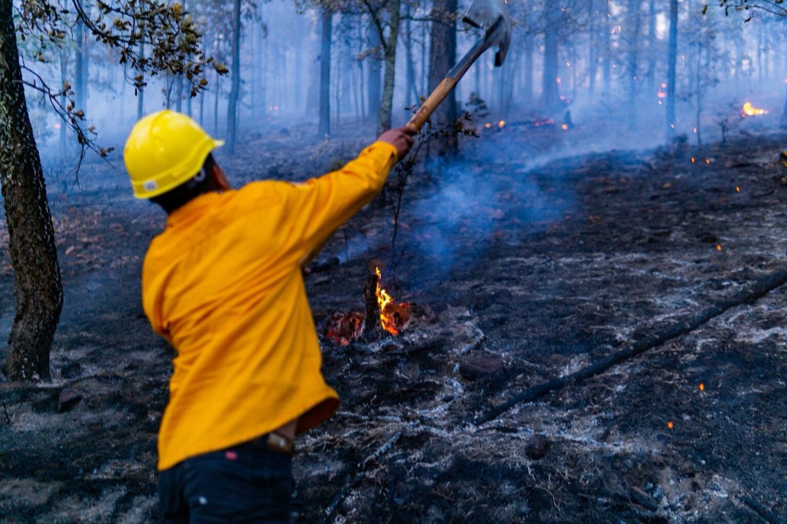 Se registran nueve incendios forestales activos en el Estado