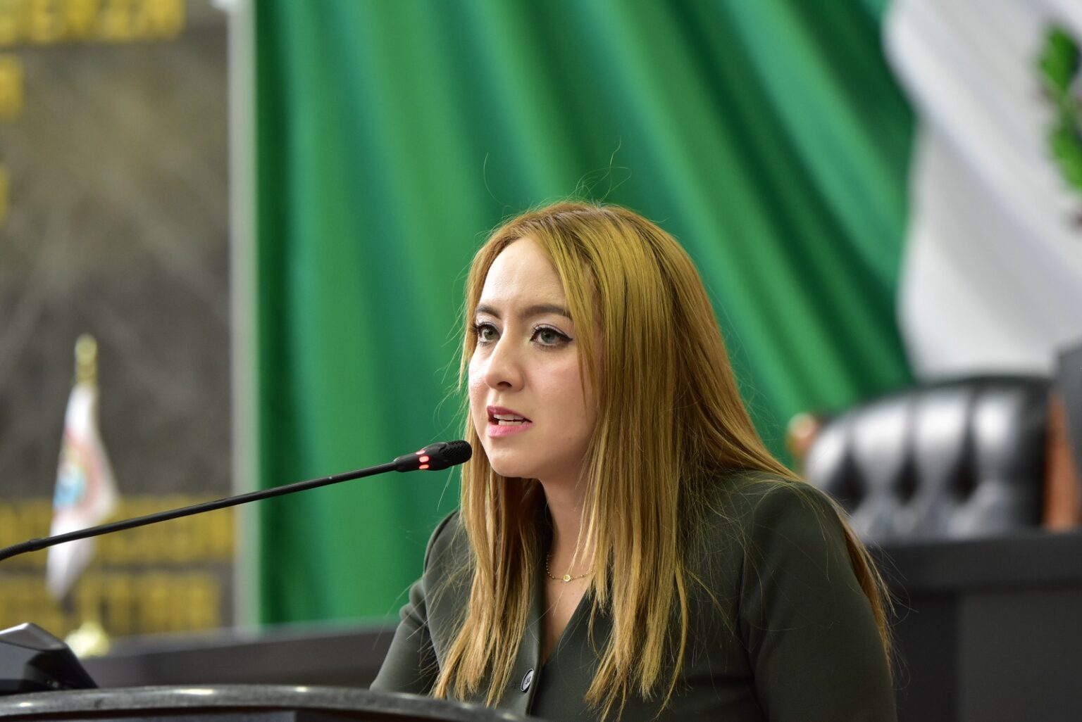 Piden diputados locales Habitaciones Mariposa en las clínicas y hospitales federales y estatales