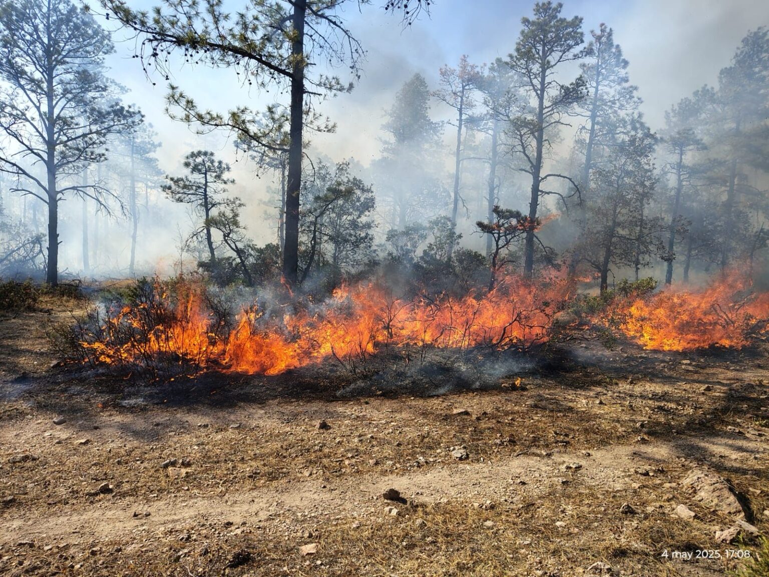 Reporta SDR 20 incendios activos en nueve municipios