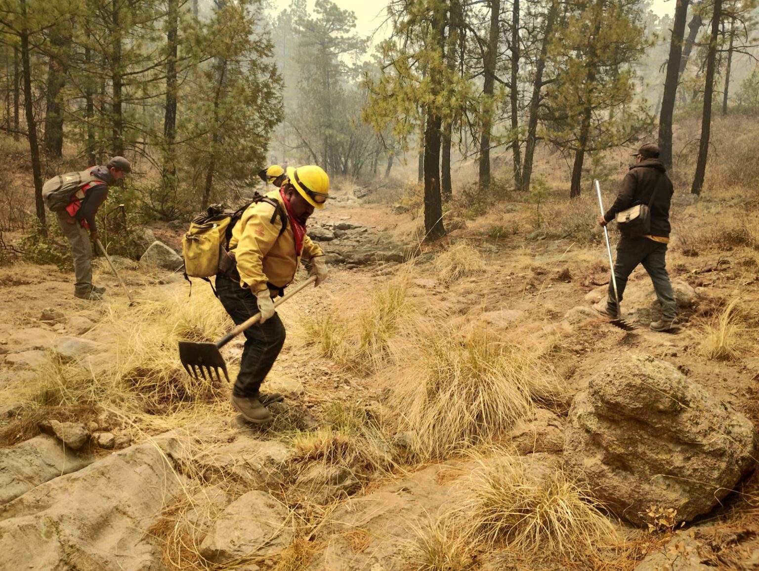 Atiende Desarrollo Rural solicitud de apoyo para combatir incendio forestal en el municipio de Madera