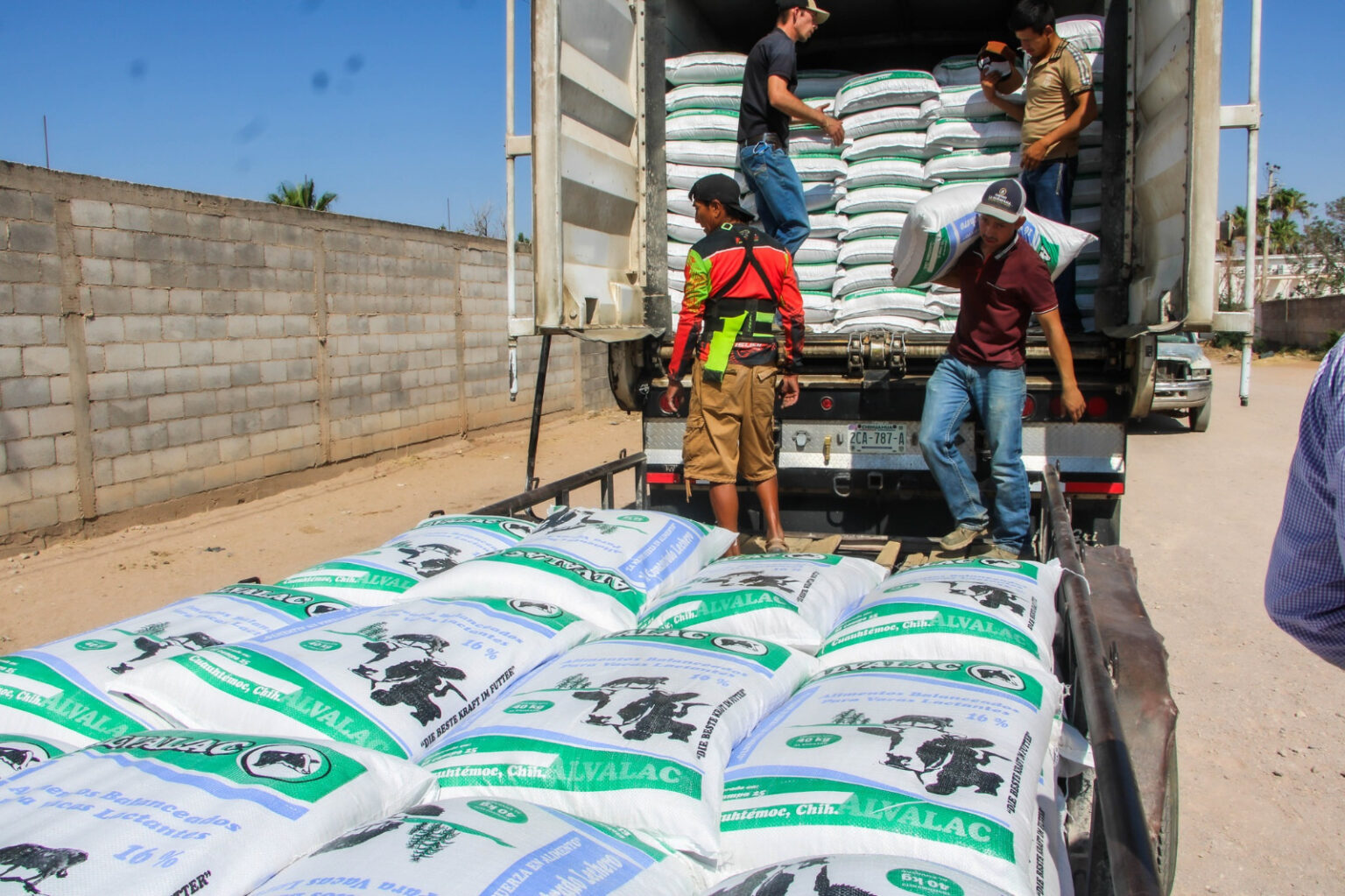 Más de 400 productores beneficiados con arriba de 600 toneladas de concentrado lechero