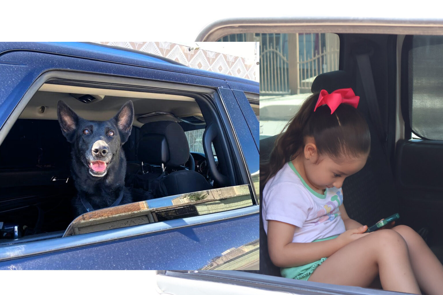 Municipio exhorta a no dejar niños ni mascotas en vehículos para evitar incidentes