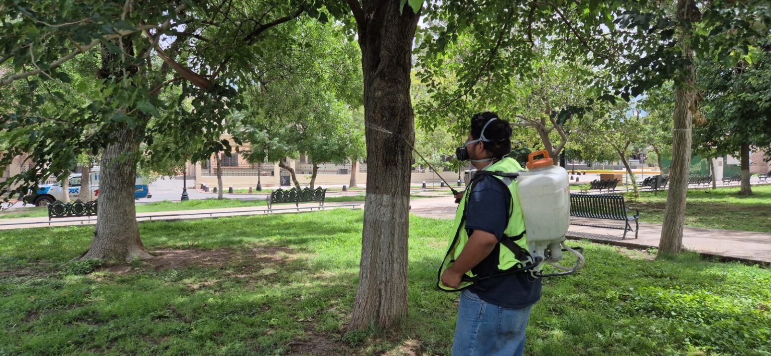 Fumiga Municipio espacios públicos para evitar animales ponzoñosos y plagas