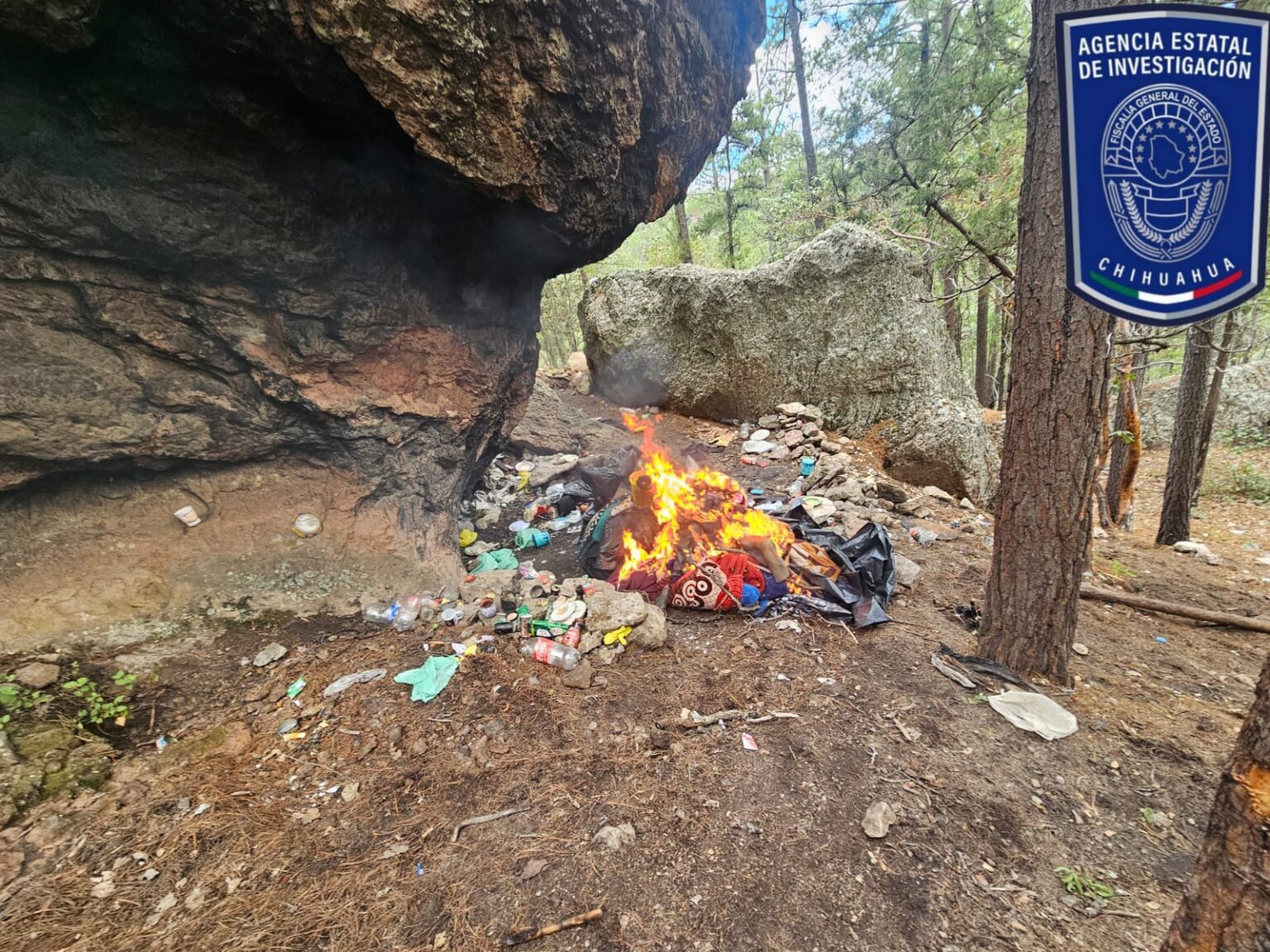 Destruye Célula BOI campamento delictivo en Guadalupe y Calvo