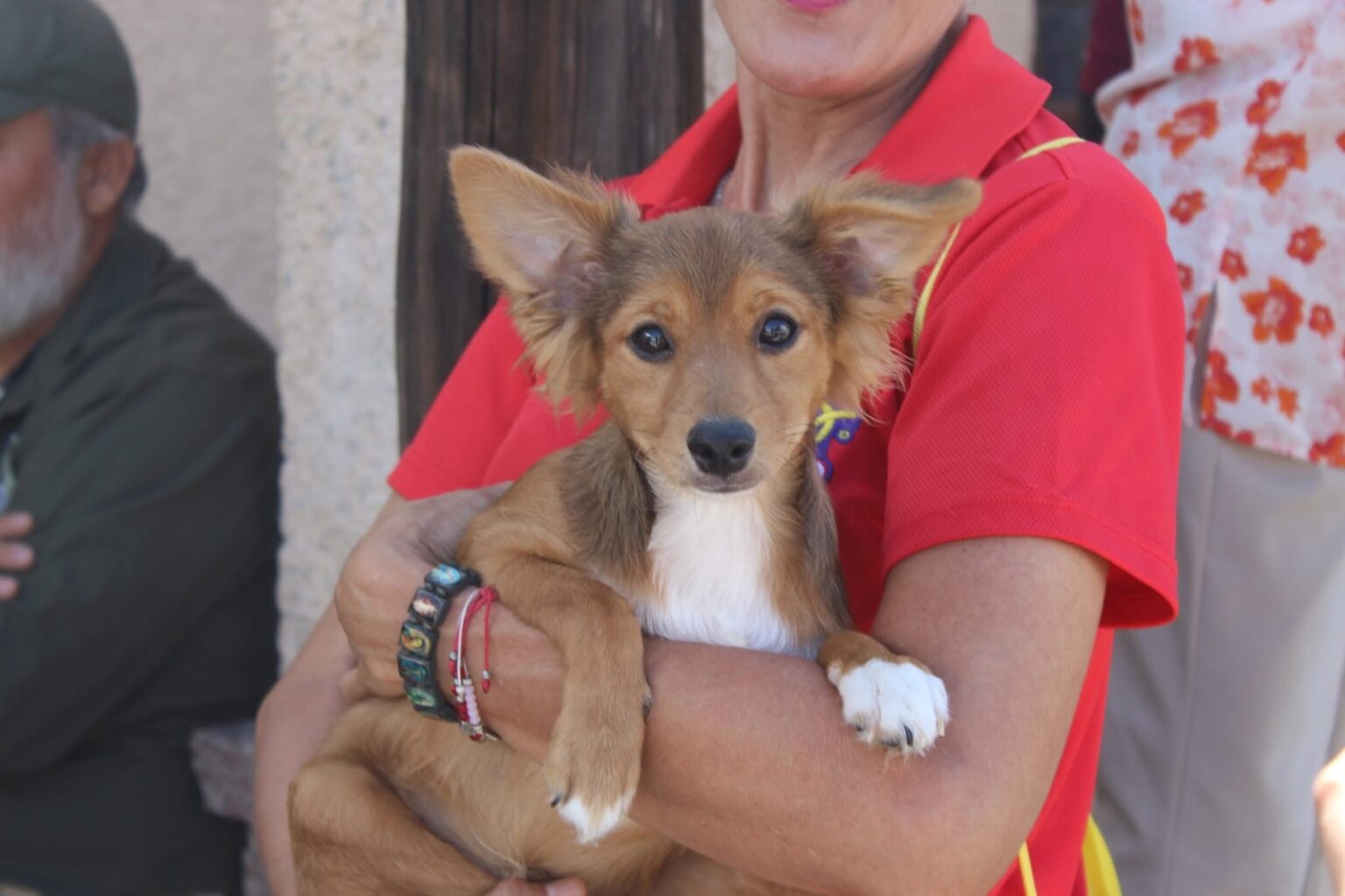 Municipio da a conocer los síntomas de la rickettsia y cómo prevenirla