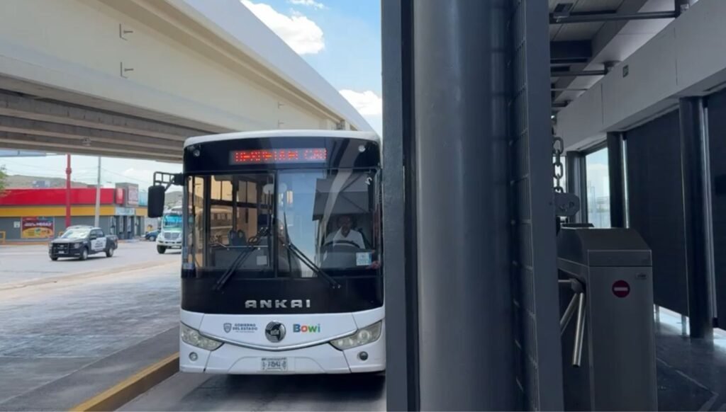 Informa OTV sobre requisitos e indicaciones al llevar un perro guía o de apoyo emocional