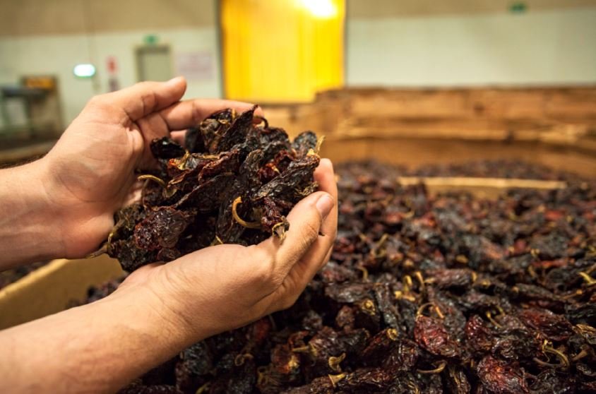 Busca Gobierno del Estado posicionar al chile chipotle chihuahuense a nivel internacional