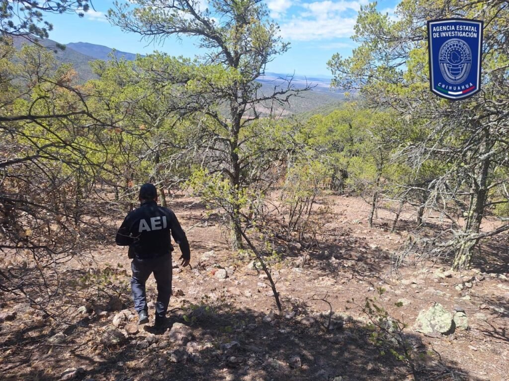 Localiza FGE Occidente en agosto 13 personas reportadas desaparecidas