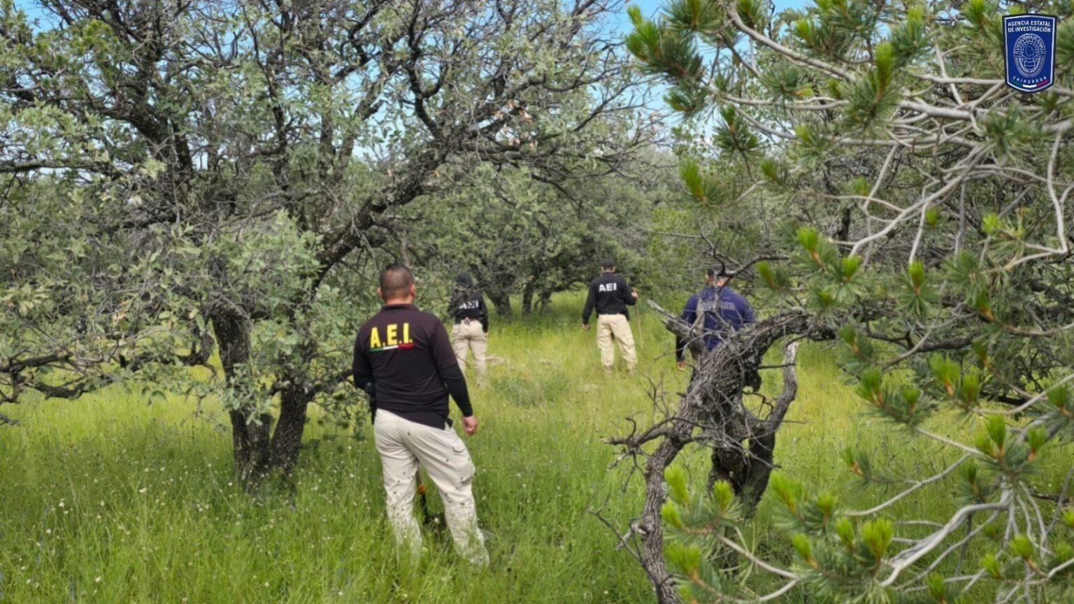 Realiza FGE Occidente rastreo en la localidad de Tres Lagunas