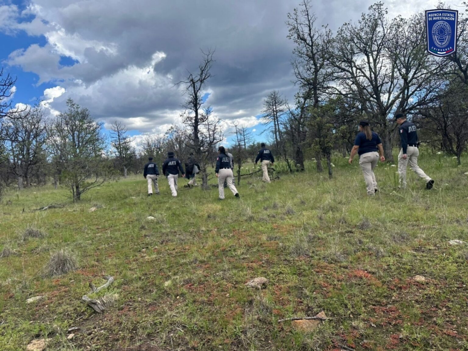 Realiza FGE rastreo en Carichí con apoyo de binomio canino y dron
