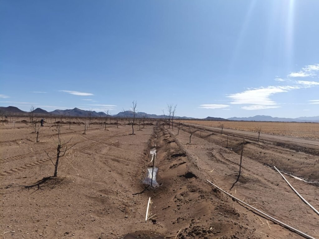 Será ciudad Guerrero sede del Foro del Agua 2025