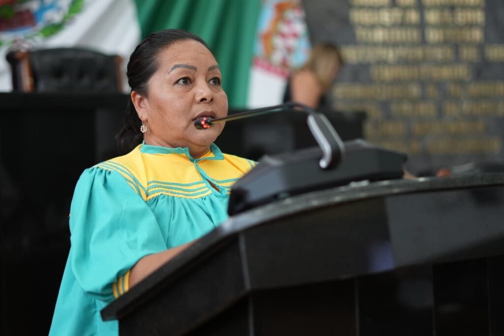 Solicita diputada Edith Palma prisión a quien imprudencialmente genere un incendio forestal