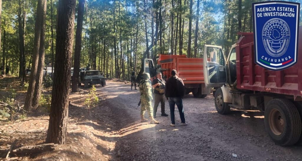 Despliega Célula BOI operativos de seguridad tras reportes de disparos en Guadalupe y Calvo