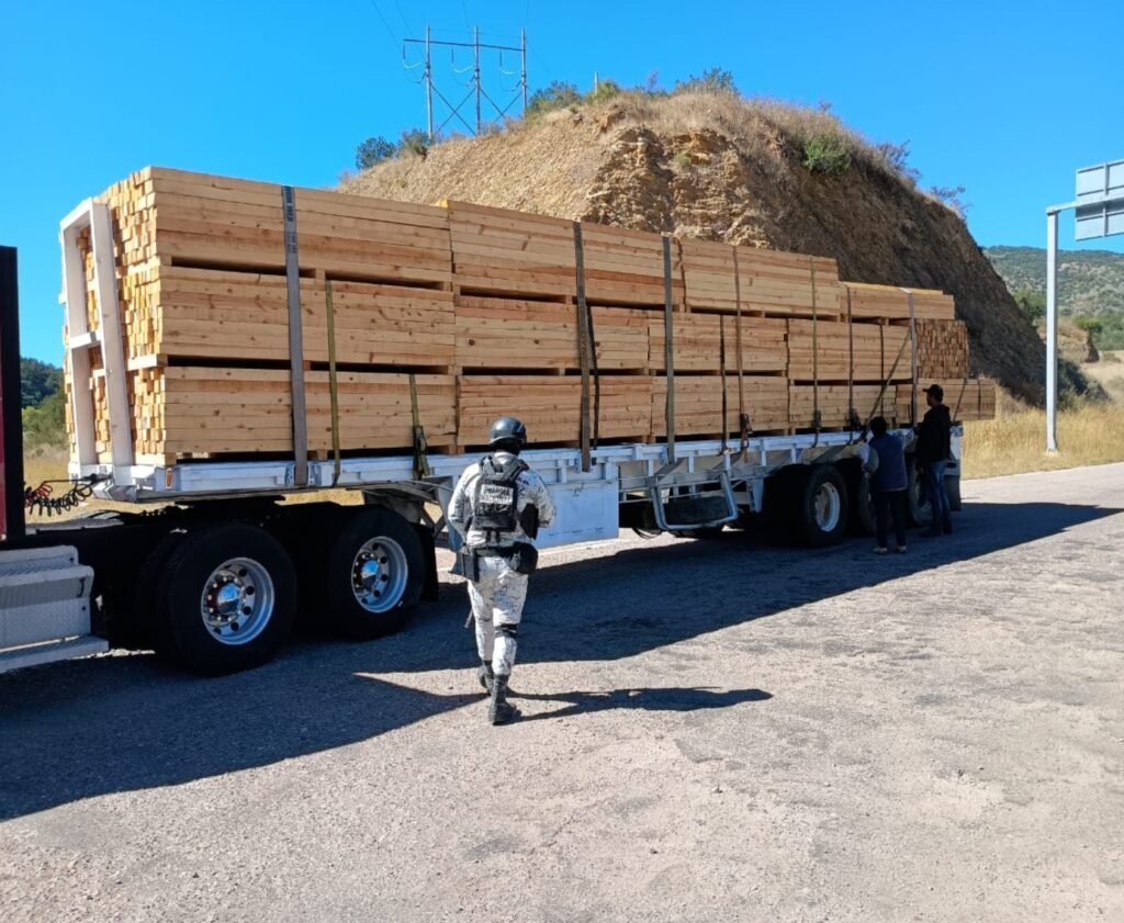 Revisan camiones madereros para combatir la extracción ilegal de madera de la sierra