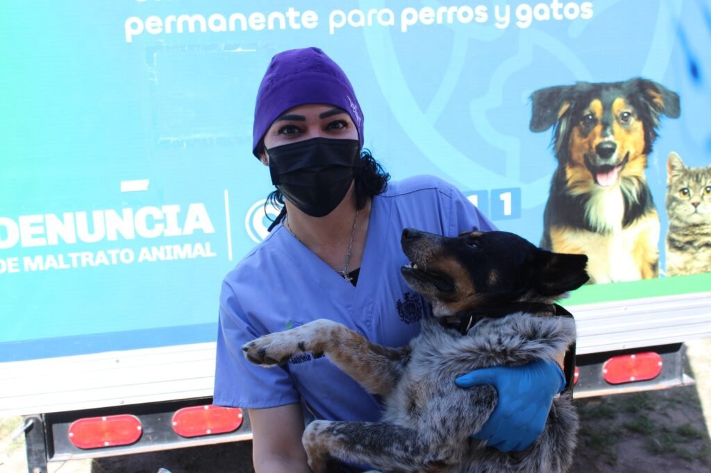 Brindará Municipio esterilización gratuita para mascotas en colonia Nombre de Dios