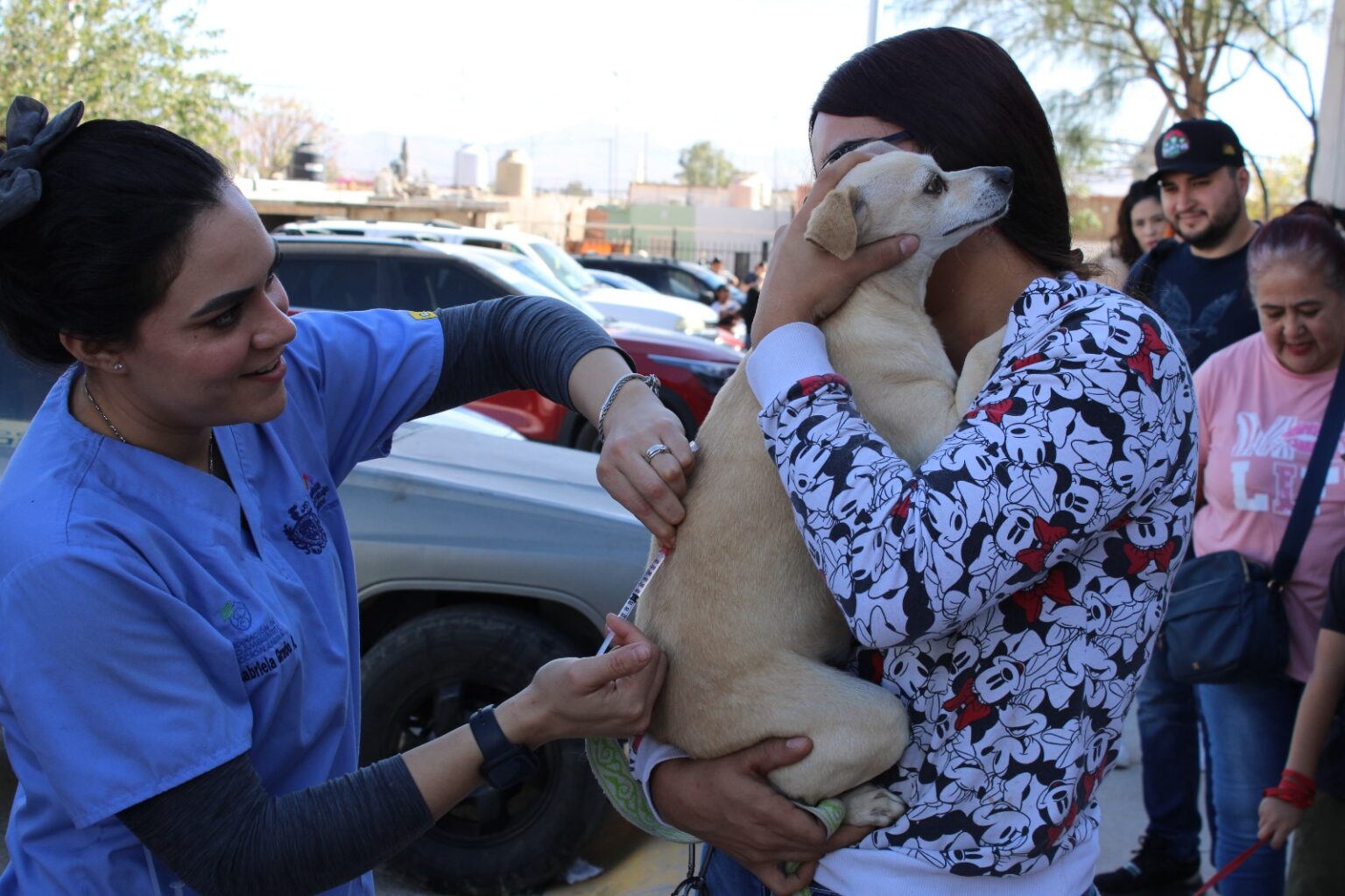 Reciben perritos y gatitos de Vistas Cerro Grande servicios de salud con programa de Municipio