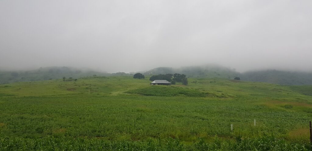 Prevén ingreso de primera tormenta invernal de la temporada este fin de semana