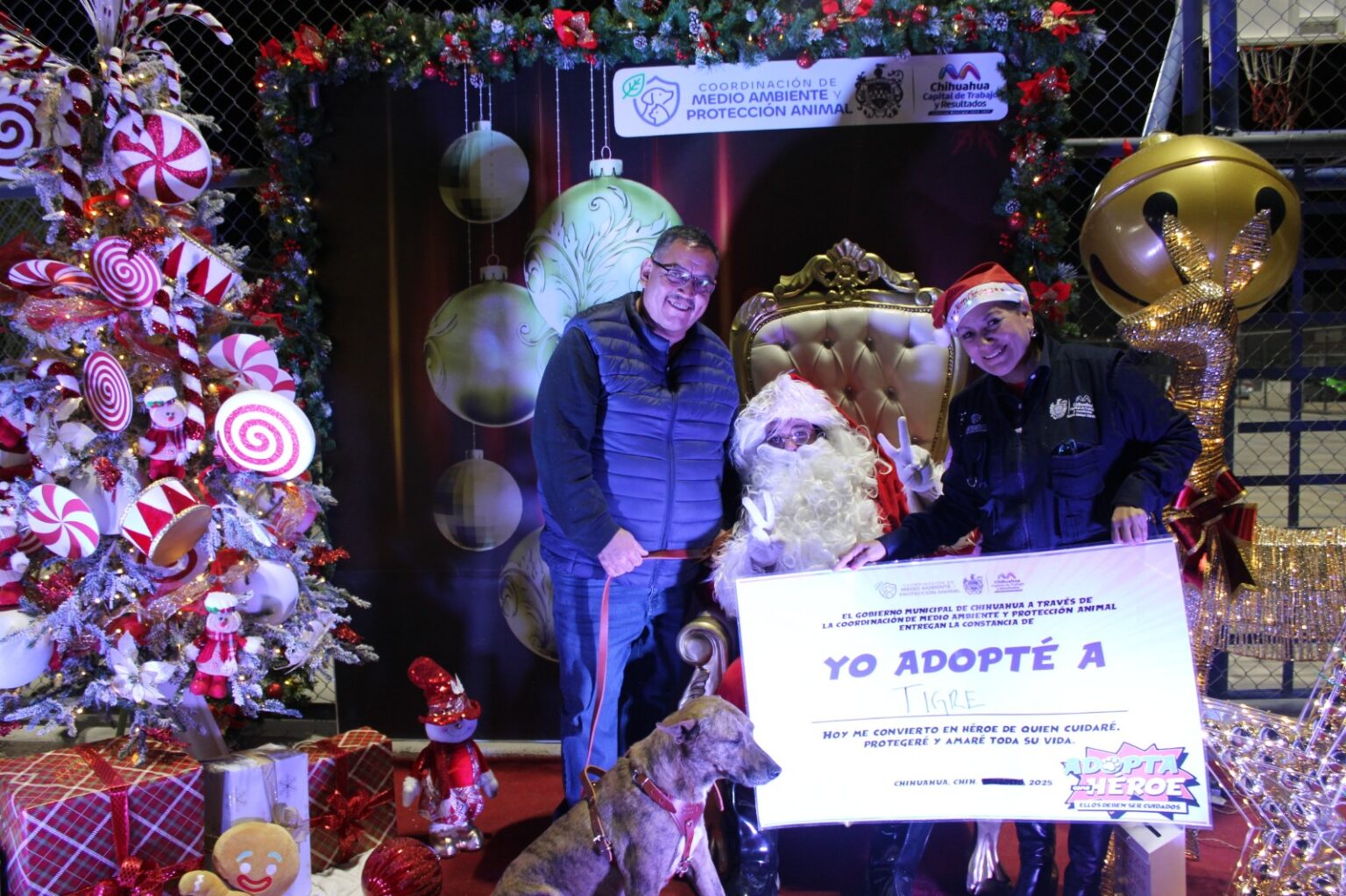 Perros y gatos encuentran familia durante el evento “Navidad de Pelos”