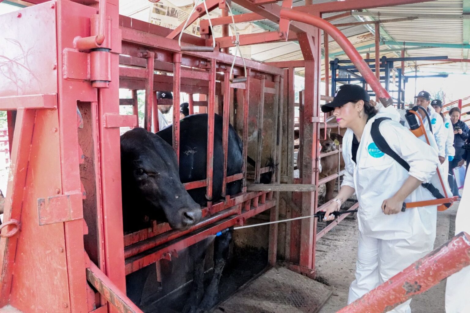 Fortalece Gobierno del Estado la sanidad agropecuaria en la entidad
