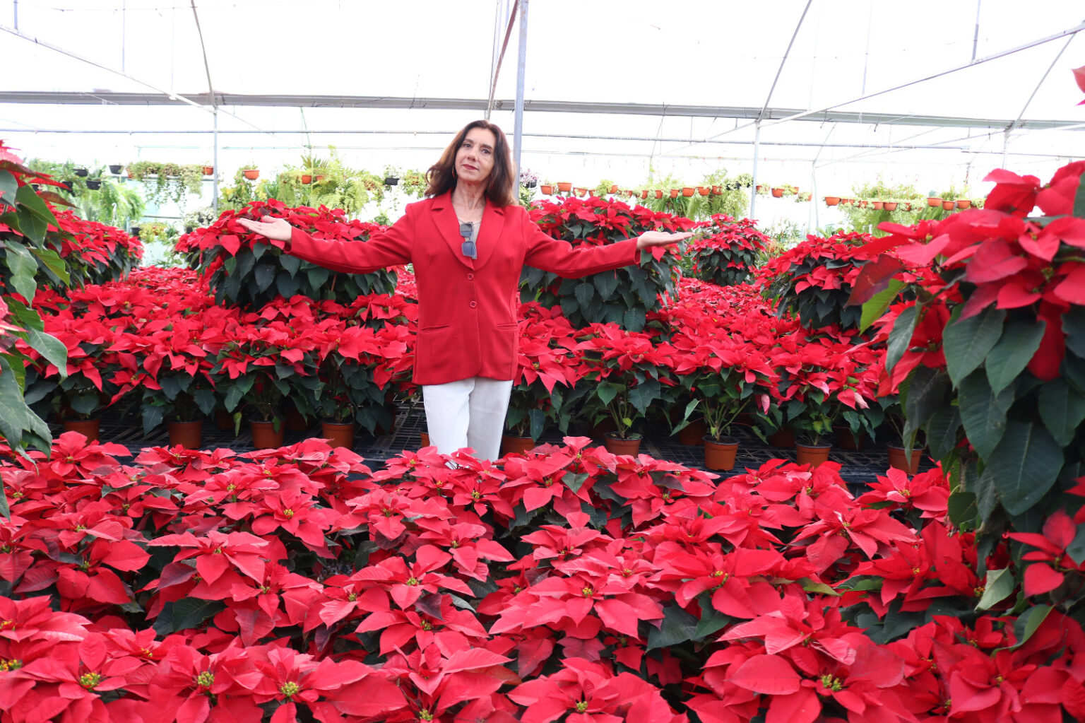 Docente de la UACH explica el simbolismo de la Nochebuena.