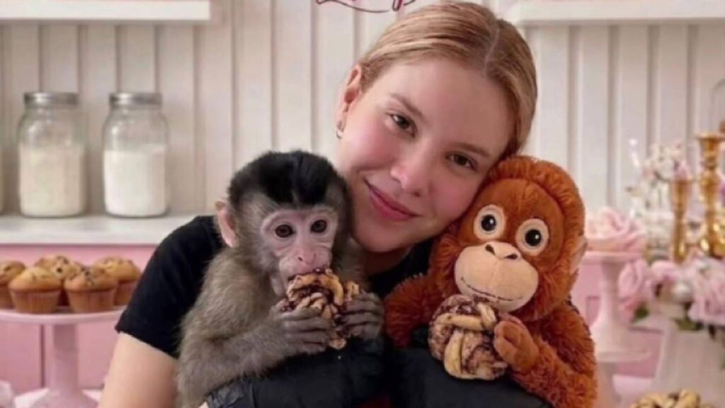 Liberan sana y salva a Carmiña Miroslava, influencer repostera en Culiacán