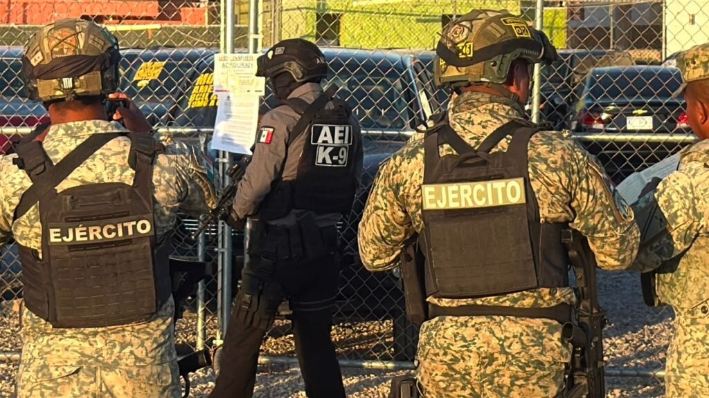 Armas y drogas aseguradas como resultado de operativo conjunto; hay 15 detenidos