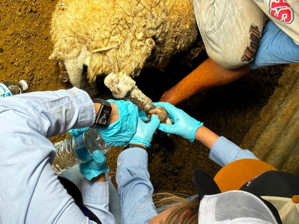 Continúa Gobierno del Estado barrido sanitario para prevenir el GBG en Parral