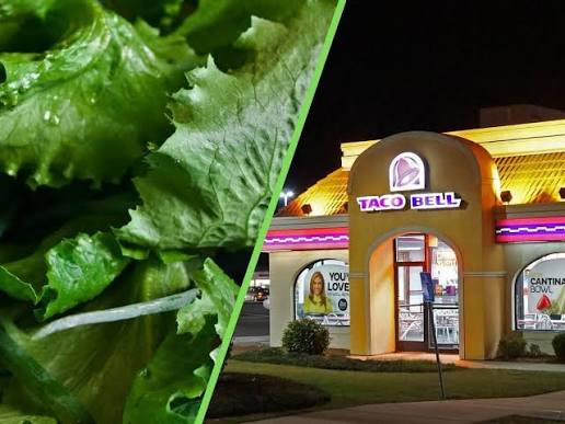 Taco Bell retira lechuga de sus restaurantes en EEUU tras brote de parásito intestinal