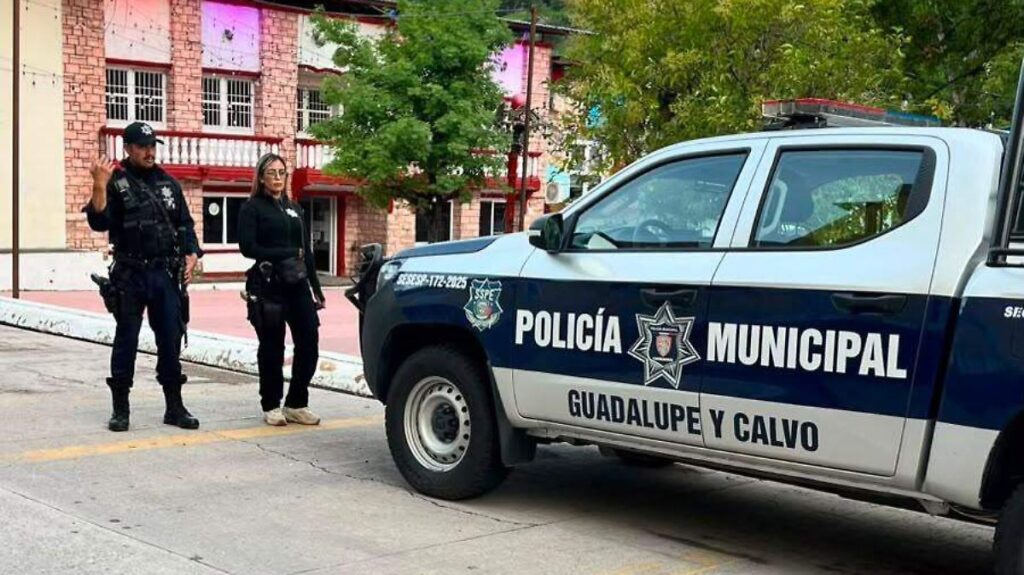 Crean grupo Código Violeta en Guadalupe y Calvo ante aumento de violencia familiar